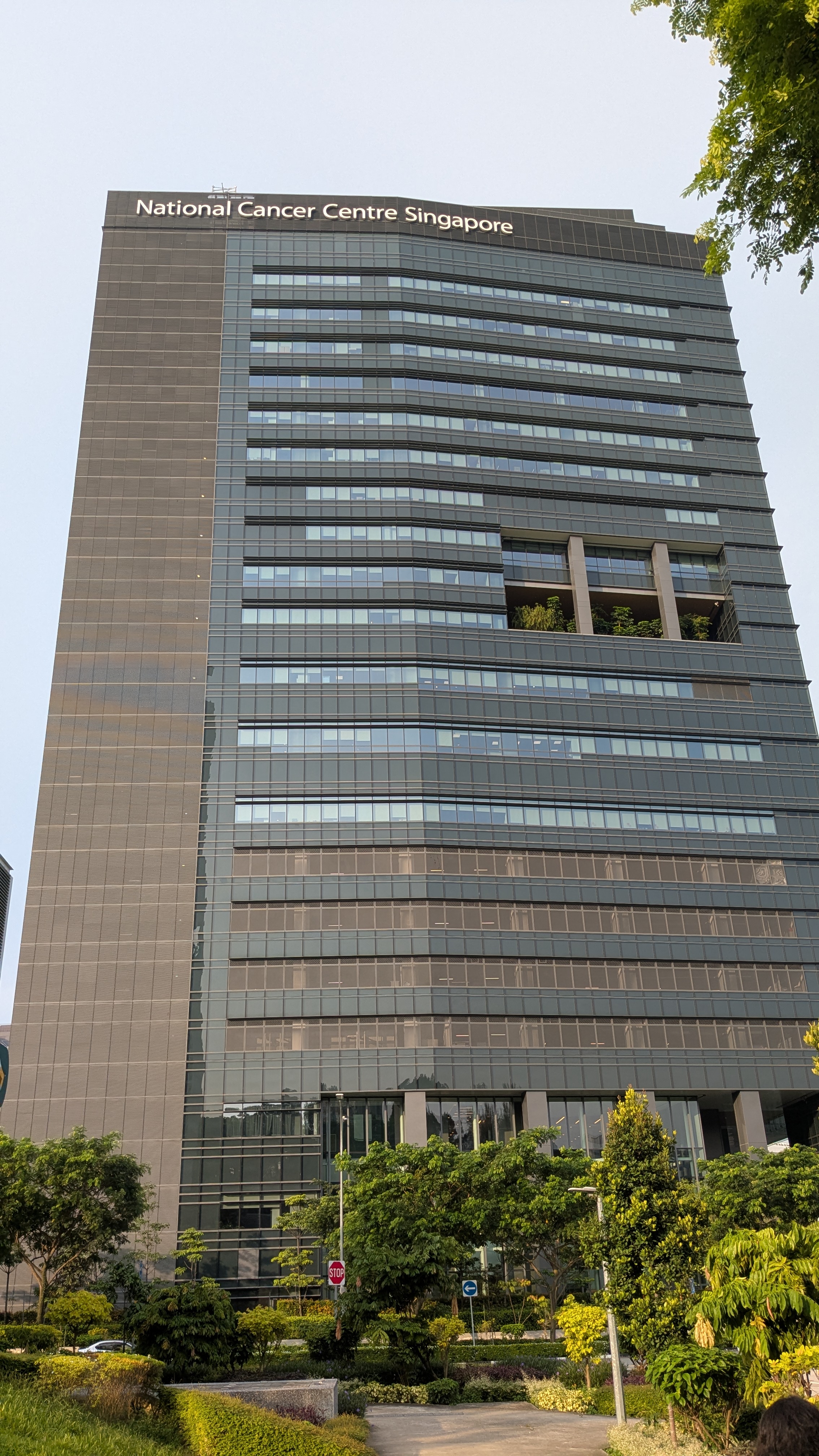 National Cancer Centre Singapore (NCCS)