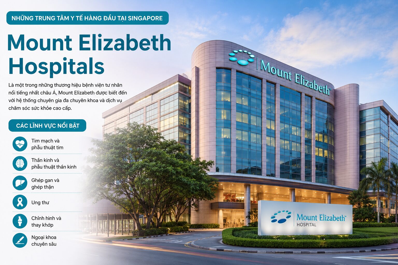 Mount Elizabeth Hospitals